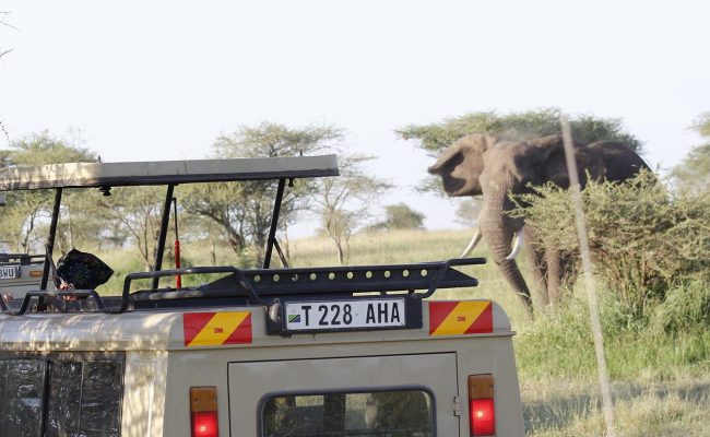 3-Day Tour to Tanzania’s National Parks