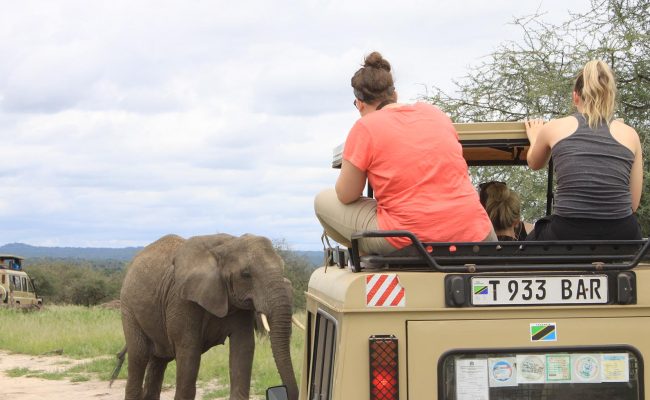 5 Days Tanzania Mid-Range Safari in Serengeti, Ngorongoro & Tarangire