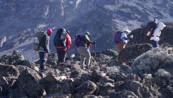 Kilimanjaro 7 Days Lemosho Route