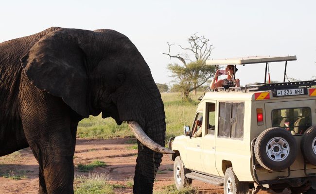 7- Day Inclusive Luxury Epic Safari in Tanzania